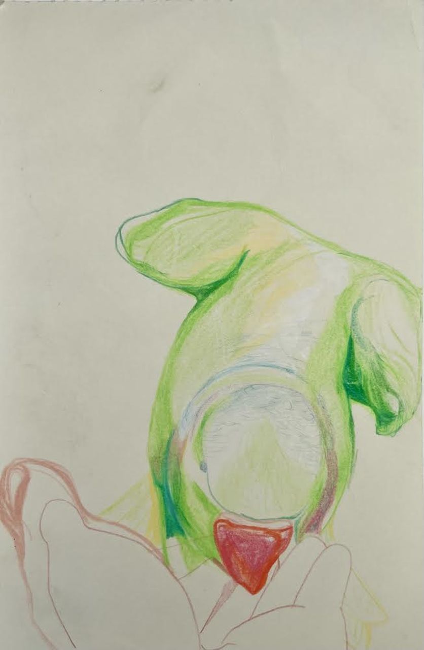 Alice May, Watercolour pencil on paper, Parakeet in Hyde Park 2020, 