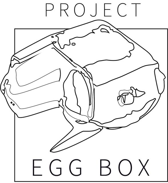 Crocodilia, Egg box, Project egg box, edition 1 (25), 